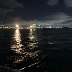 サビキでミラクル