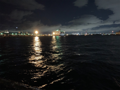 サビキでミラクル