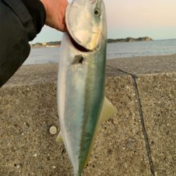 松部港 堤防釣り