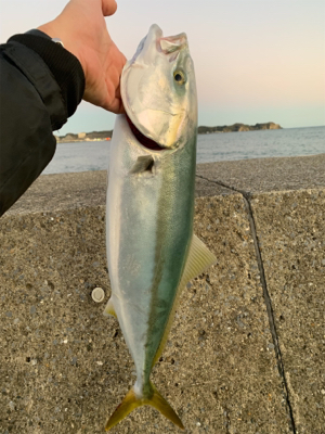 松部港 堤防釣り