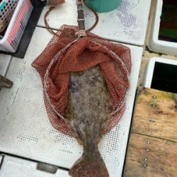 ヒラメ　　鳴門　正和丸