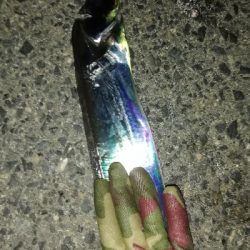 セットアッパー