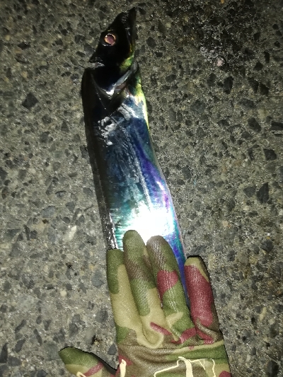 セットアッパー