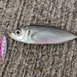 ライトゲームで四目