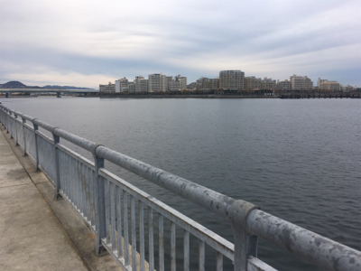 東側ベランダでタチウオ