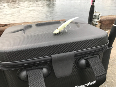 湾奥タチウオ、若潮に苦戦。