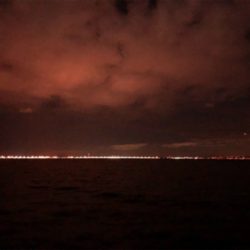 南蛮漬けが食べたくて