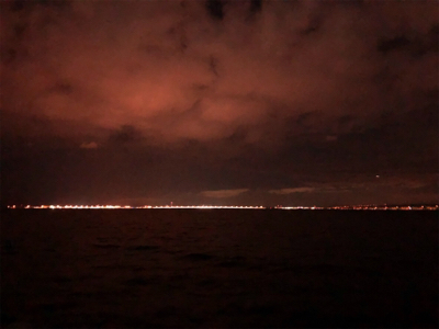 南蛮漬けが食べたくて