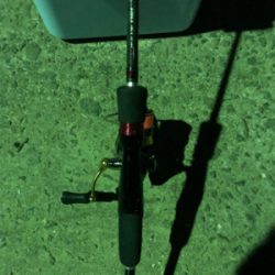 ライトゲームに移行です