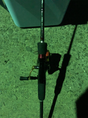 ライトゲームに移行です