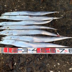 朝タチ、高活性！