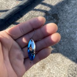 栃木総合運動場プール