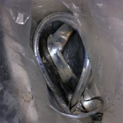 南港エエ感じ〜♫