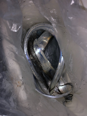 南港エエ感じ〜♫