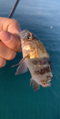 デイでボコボコ