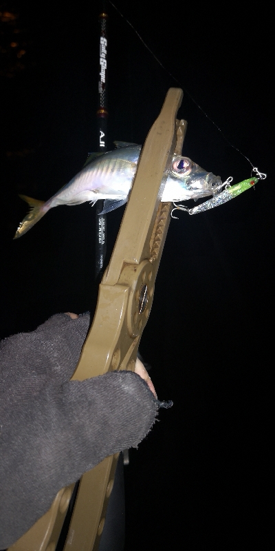 アジング練習  76