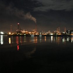 ヒイカとアジも渋い(><)