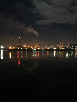 ヒイカとアジも渋い(><)