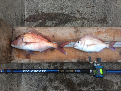 三種盛りならず