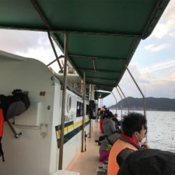 出たカワハギ35.5センチ