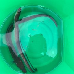 今年最後の投げ釣りでしたが❓