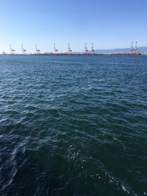 太刀魚ダメで諦めアジでも矢先に♪