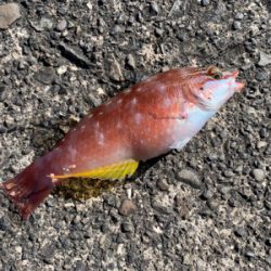 なかなか厳しい