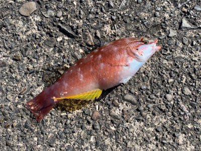 なかなか厳しい