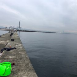 タチウオ釣れ続く@岸和田一文字