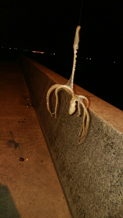 ライトエギング