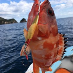 マイボートで根魚狙い。