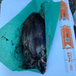 尾鷲のレンタルボート屋『フィッシングオザキ』さん