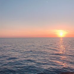 リリースサイズばっかり(･･;)