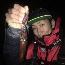 雨上がりのヒイカ爆釣☆GUNNING-STYLE