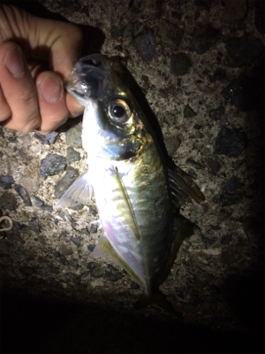 久しぶりの短時間決戦