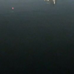 久しぶりのタッチー調査