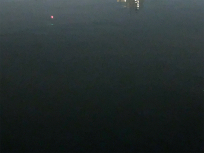 久しぶりのタッチー調査