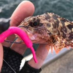 デイでライトゲーム