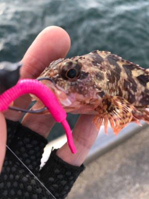 デイでライトゲーム