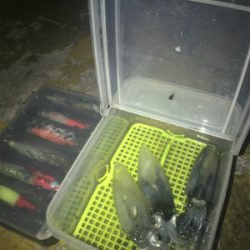 別府港と飾磨港のハシゴでもヒイカ、イマイチ(><)