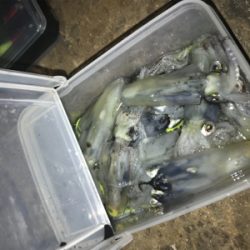 寒い中でのヒイカ釣りσ(^_^;)