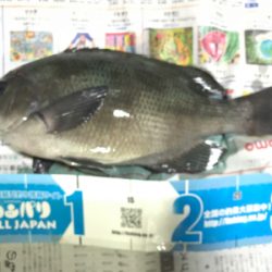 磯フカセ釣り