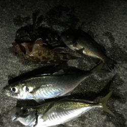 最低限のマナーを守って!