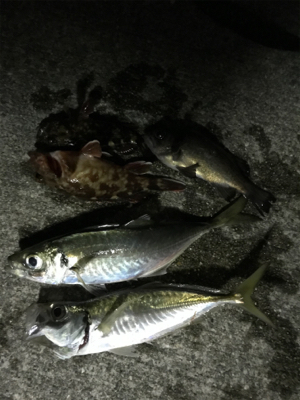 最低限のマナーを守って!