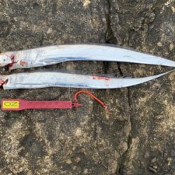 何とか、居てました。