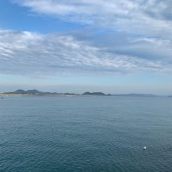 ワールドシャウラーの鱗付には充分すぎる釣行