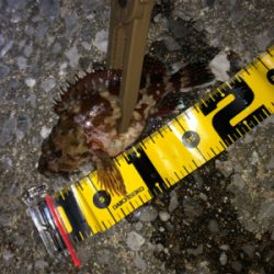 まさかの初ムツ