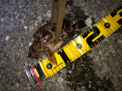 まさかの初ムツ