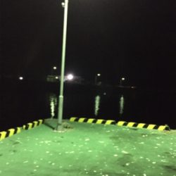 初のヒイカ釣り