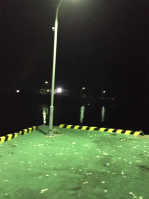 初のヒイカ釣り